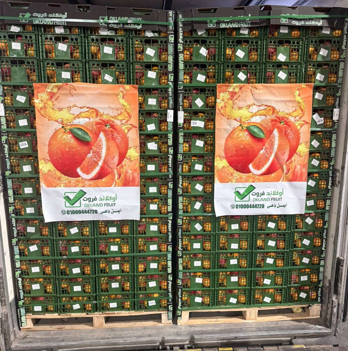 تصدير عالمي